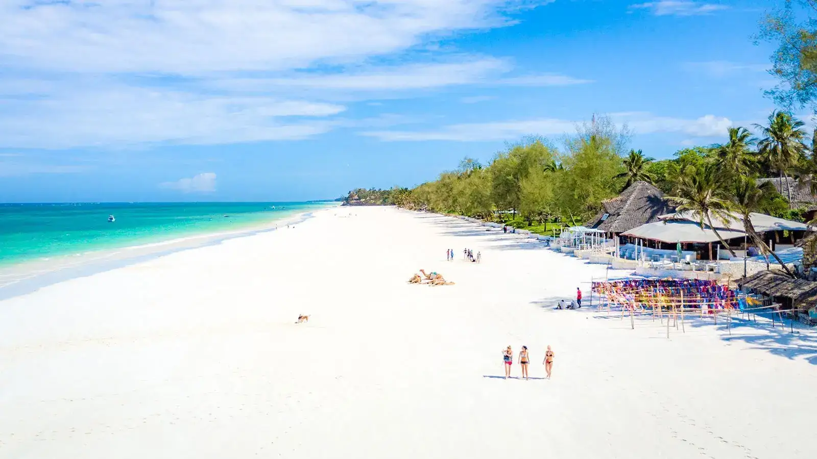 A stretch of powdery white sand kissed by turqoise waves,where time slows down and worries drift away