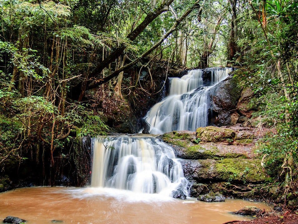 Karura forest waterfall