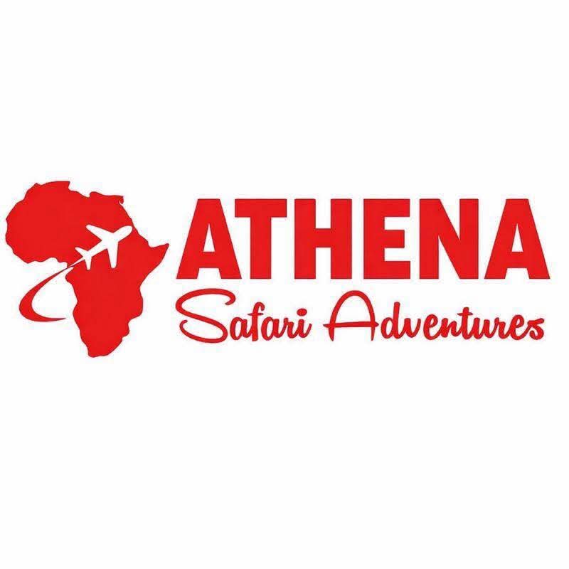 Athena Safari Logo